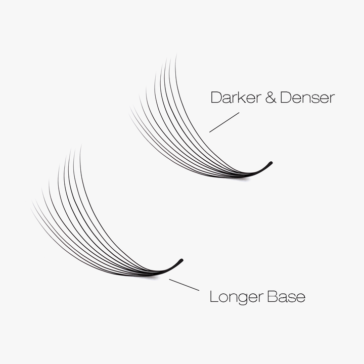 10D LASHBOOK Narrow Promade Volume Fans - 1000 Fans SC