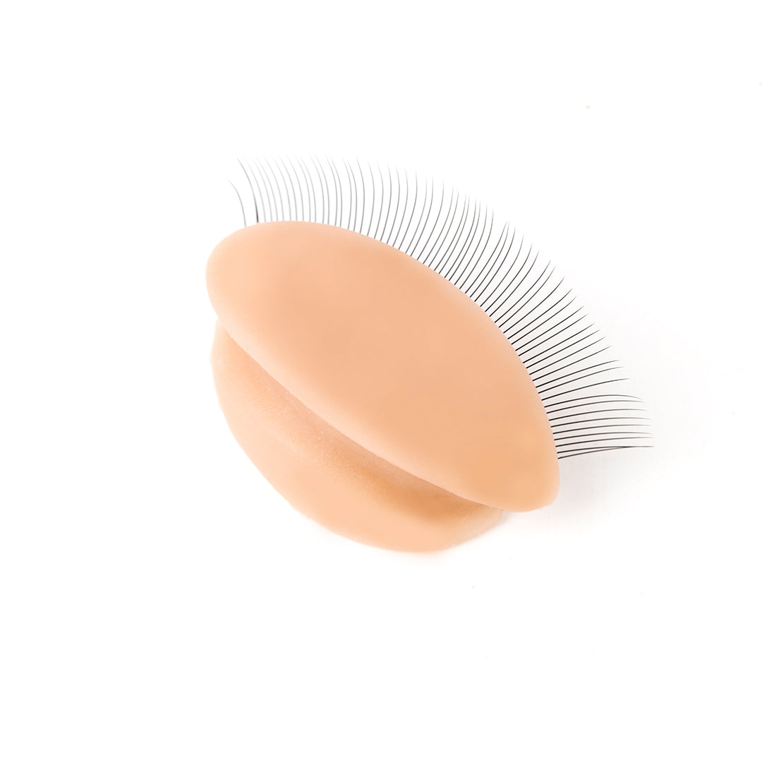 Ersatz -Augenlider für fortgeschrittenes Training Schaufensterpuppen 6 PCs