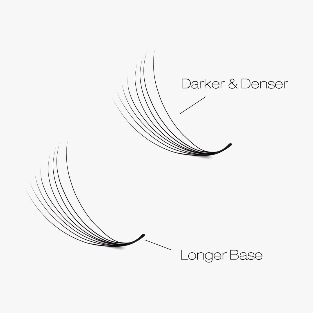 6D LASHBOOK Narrow Promade Volume Fans - 1000 Fans SC