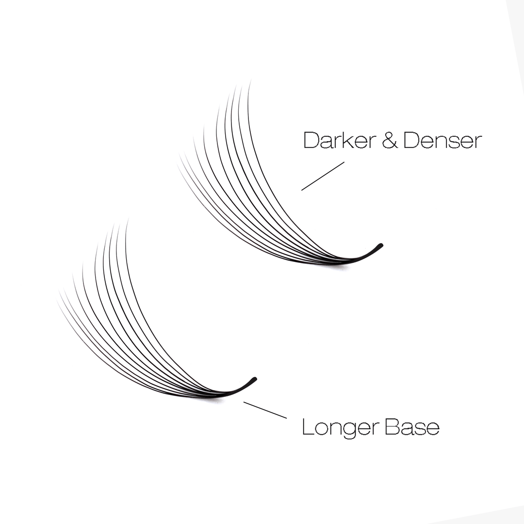 8D LASHBOOK Narrow Promade Volume Fans - 1000 Fans SC