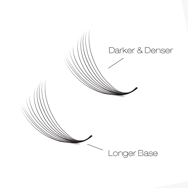 8D LASHBOOK Narrow Promade Volume Fans - 1000 Fans SC