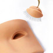 Mannequin Head With Removable Eyelids For Lash Extensions